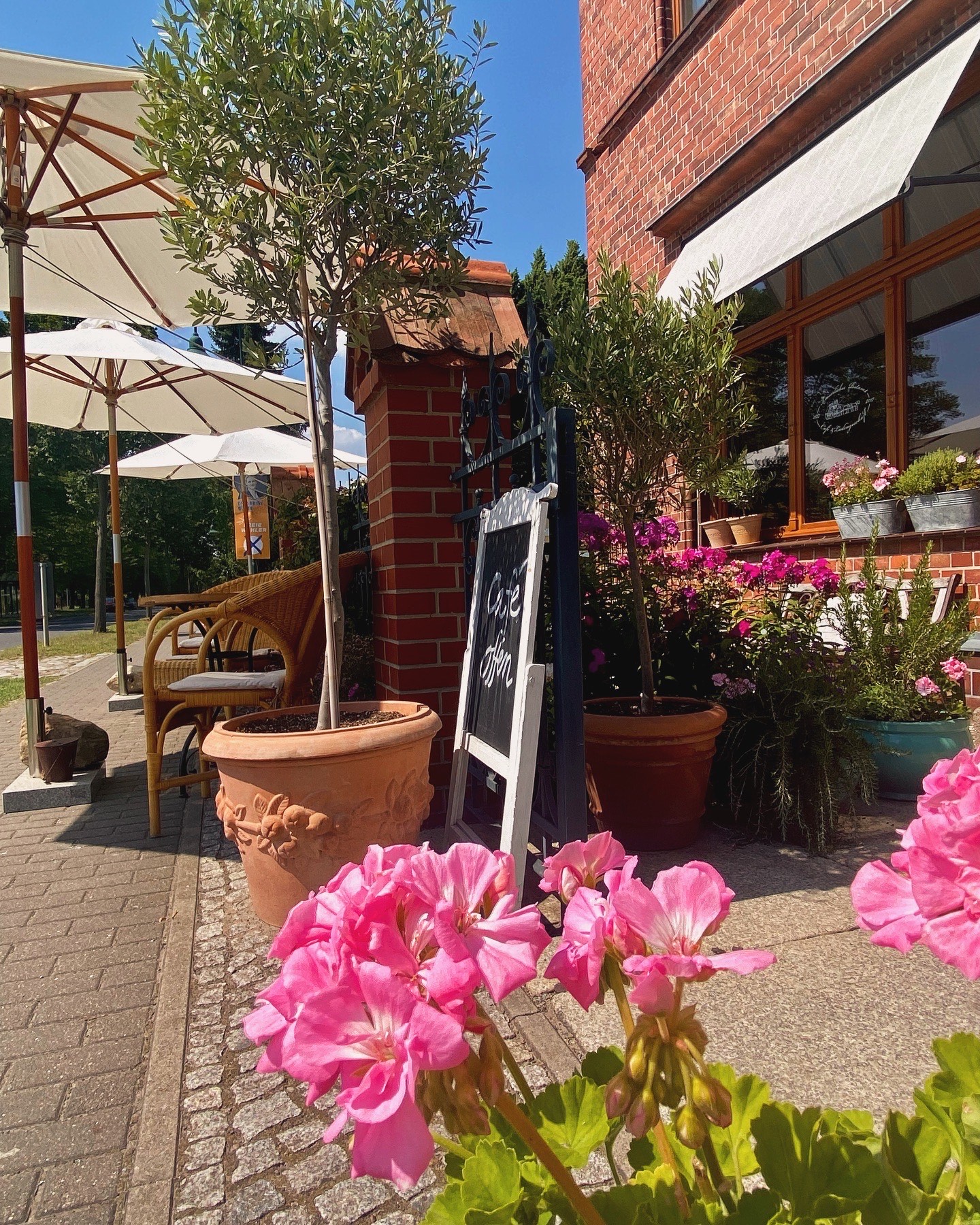 den Spätsommer bei uns im Cafe genießen